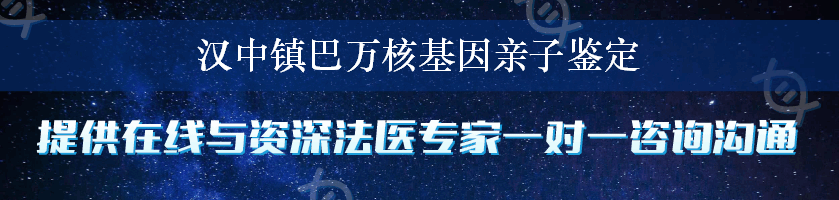 汉中镇巴万核基因亲子鉴定